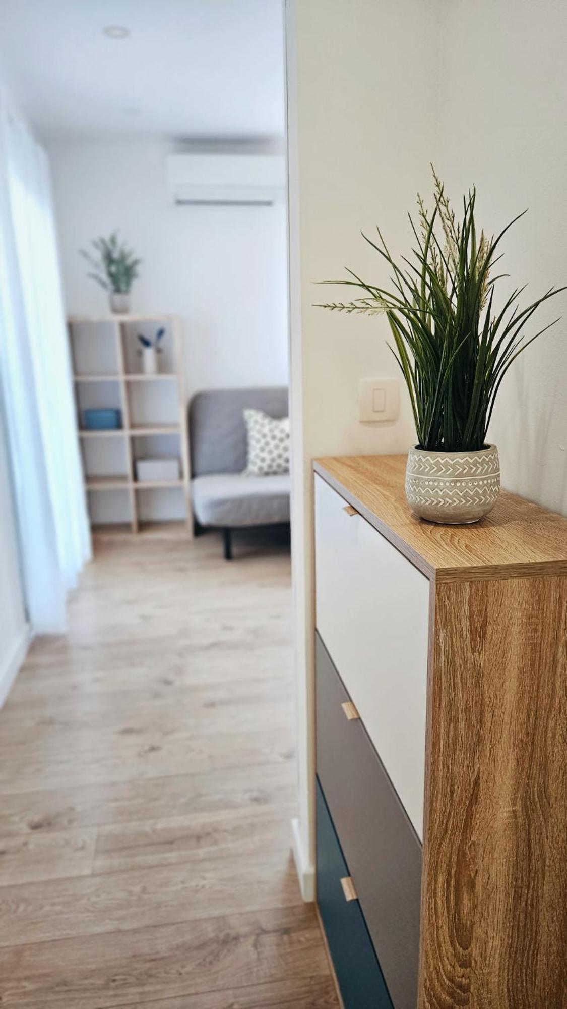 Apartment Zore Promajna Zewnętrze zdjęcie